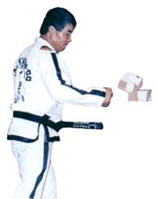 Grand Master Rhee Ki Ha